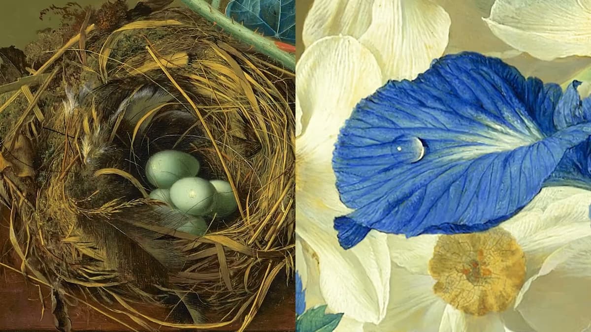 The Greatest of All Dutch Still-Life Artists: Two Flower Paintings by Jan Van Huysum