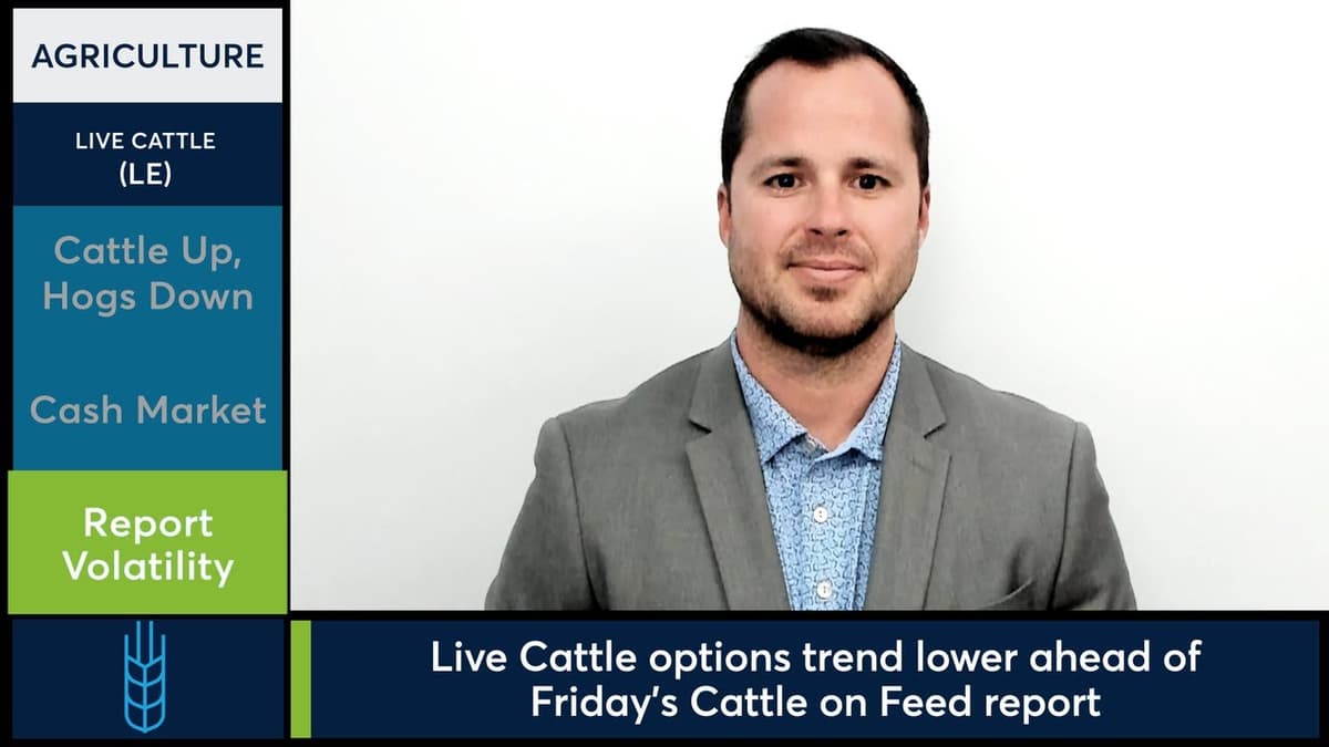 Live Cattle Futures Held a $2 Range Before Friday's Report. 5/19/26