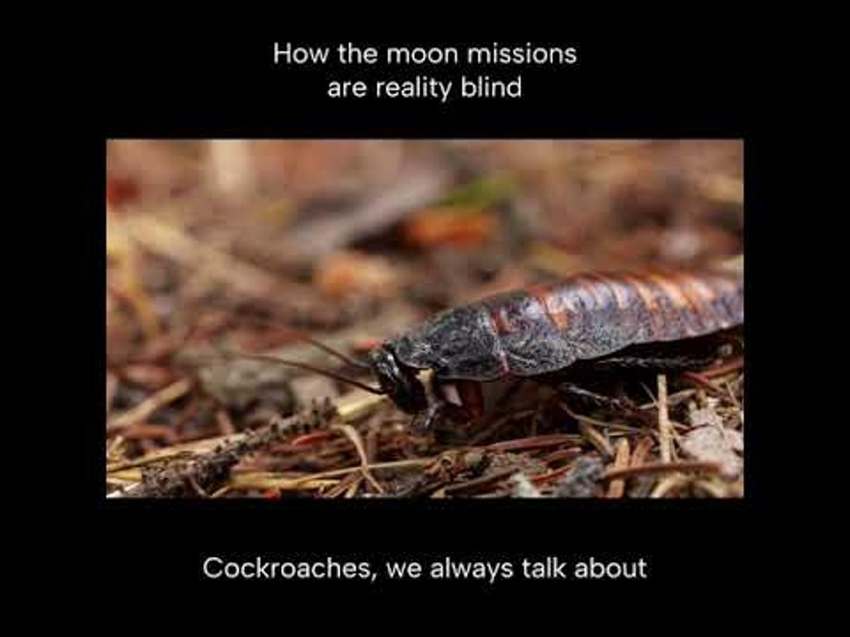 How Feasible Is Space Colonization?