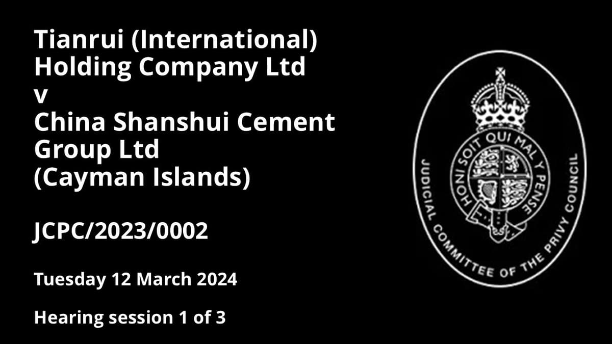 Tianrui (International) Holding Company Ltd v China Shanshui Cement Group Ltd (Cayman Islands)