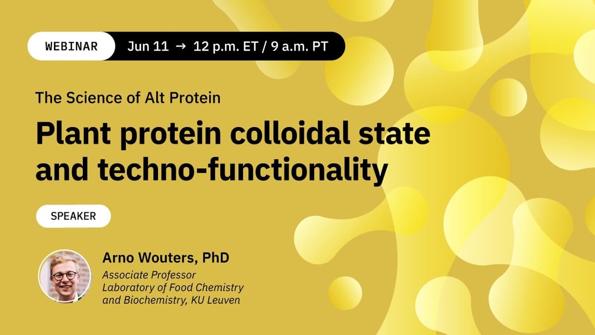 Dr. Arno Wouters: Plant Protein Colloidal State and Techno-Functionality