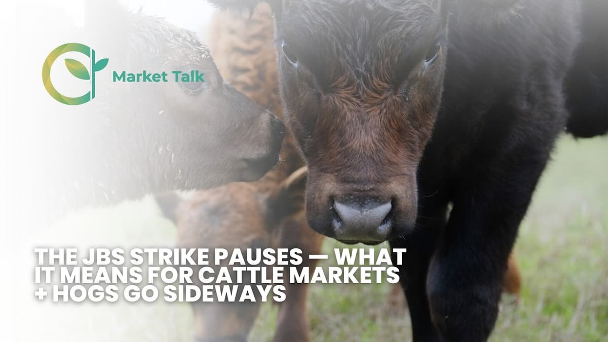 The JBS Strike Pauses — What It Means for Cattle Markets + Hogs Go Sideways