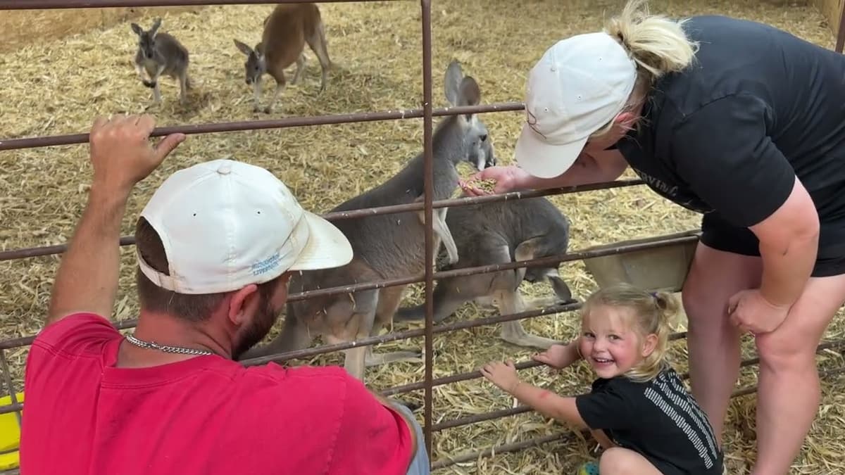 Wild Trail Safari: A Family Passion Turned Reality