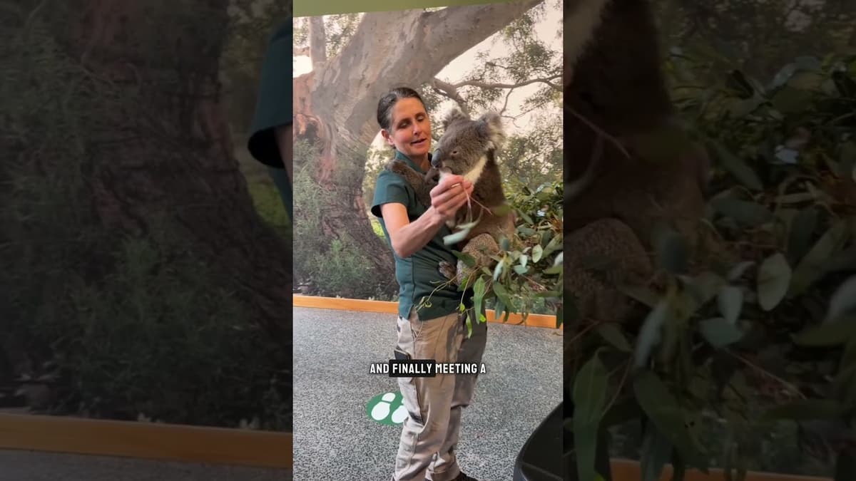 United’s NEW 16-Hour Nonstop to Australia 🇦🇺✈️