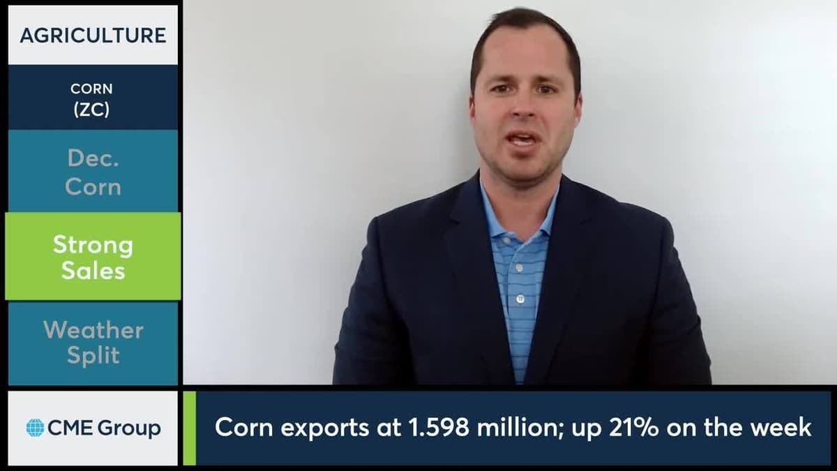 December Corn Futures Test 5'0 for First Time Since 2023. 5/1/26