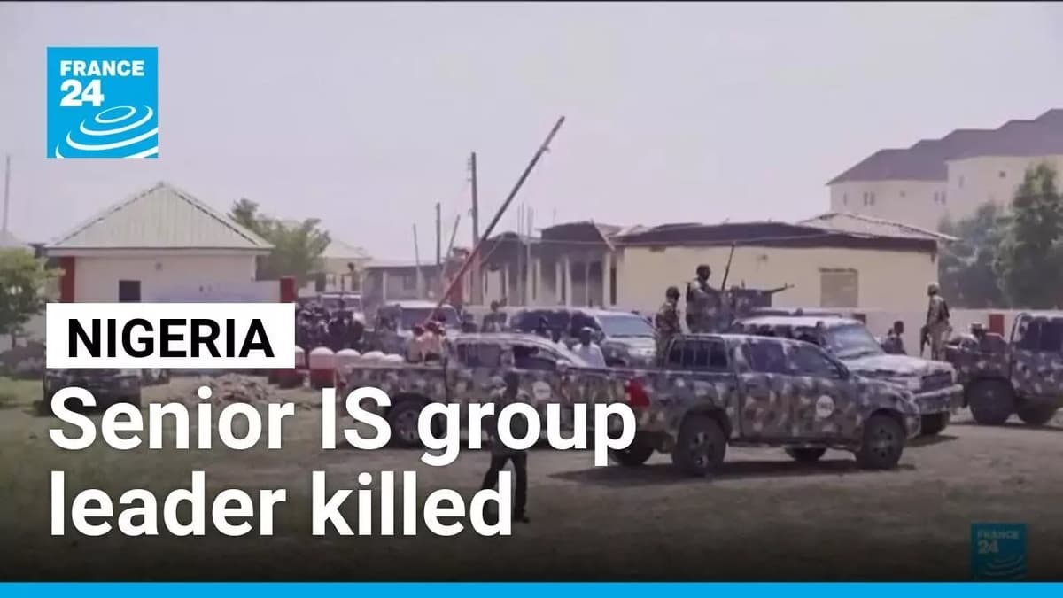 US and Nigeria Claim Killing of Islamic State Second-in-Command • FRANCE 24 English