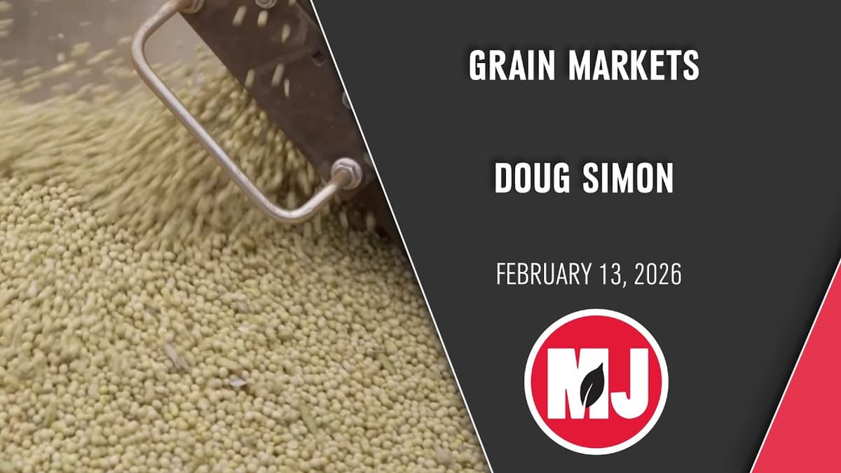 Grain Markets | Doug Simon | February 13, 2026