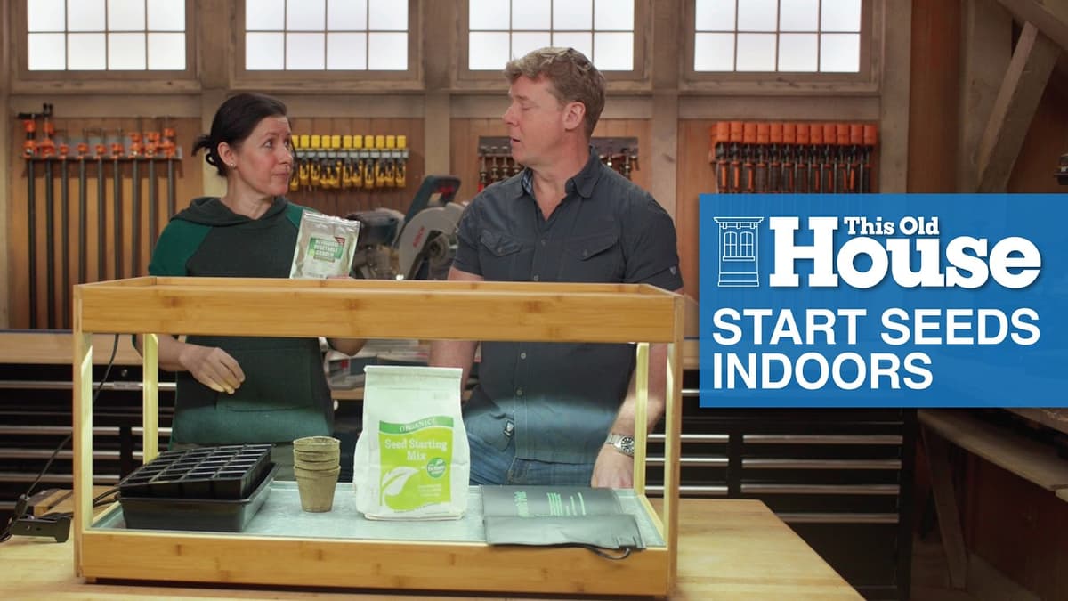 How to Start Seeds Indoors | Ask This Old House