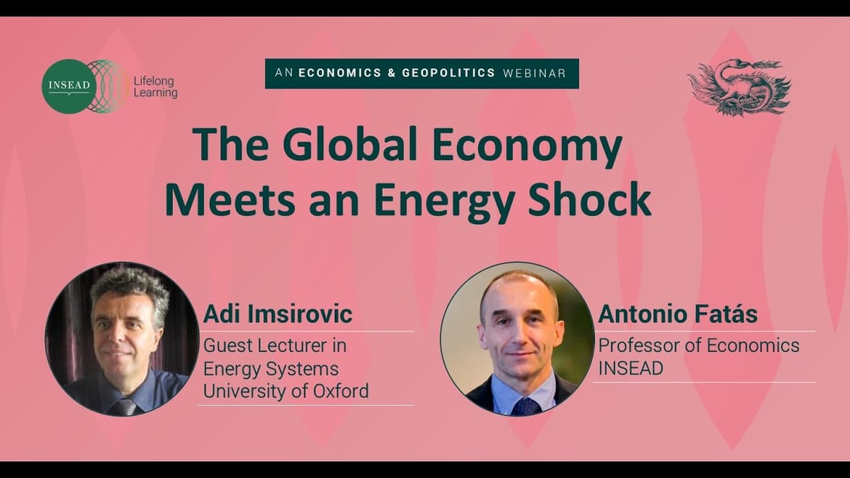 The Global Economy Meets an Energy Shock