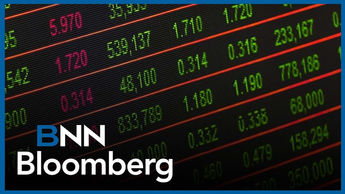 'Excellent Dividend Record, Excellent Capital Allocator': Halter on Progressive Corp.