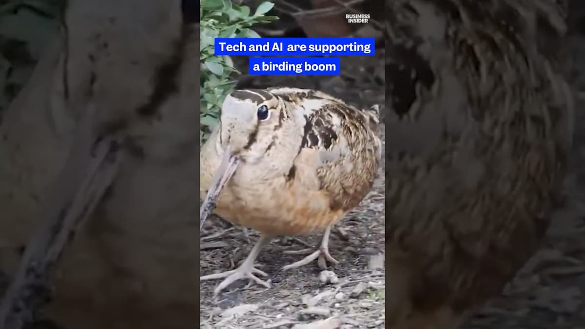 #Birdwatching Is Taking Off as #AI Apps Turn Phones Into "Shazam for Birds." #tech