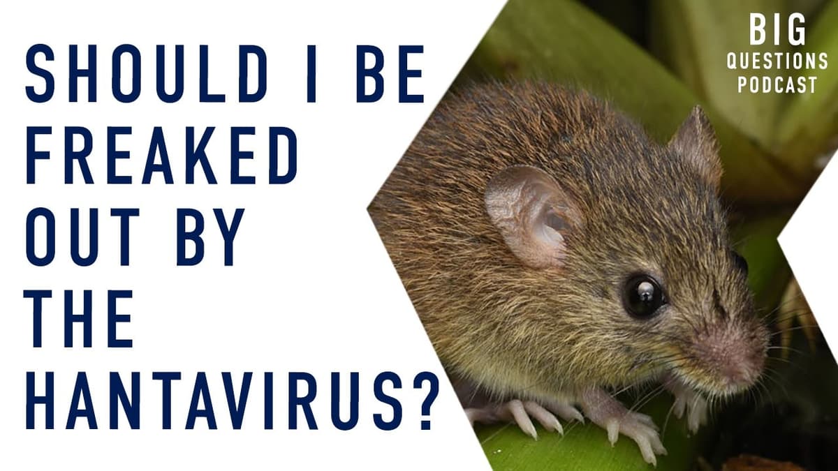 Should I Be Freaked Out by the Hantavirus?