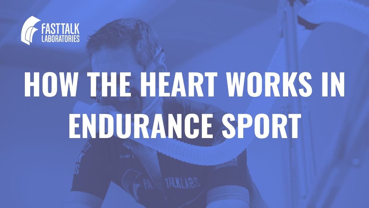 How the Heart Works in Endurance Sports: Dr. Seiler on Function, Stress & Performance