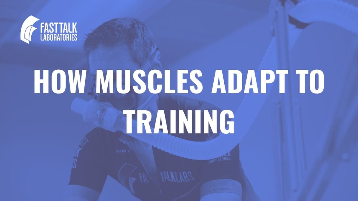 How Muscles Adapt to Training: The Science of Protein, Signals & Endurance Gains