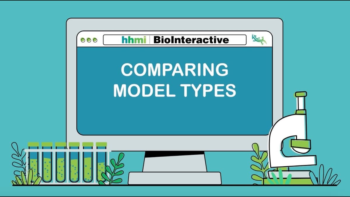Comparing Model Types