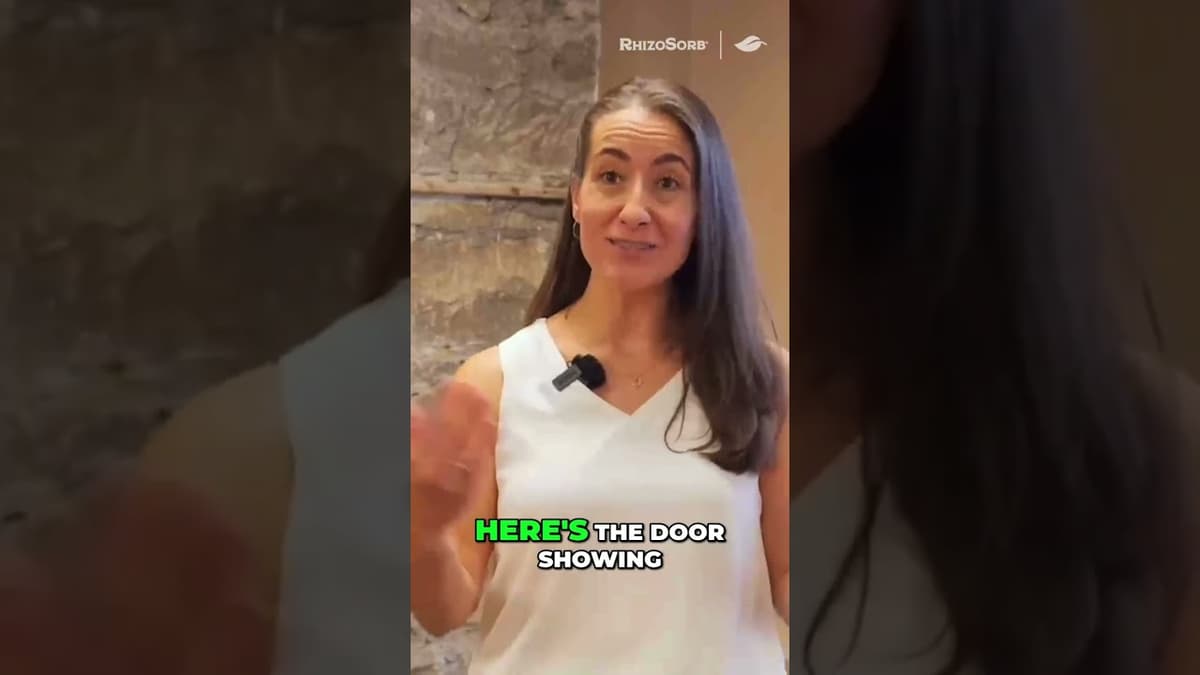 Overcome Burnout: The Power of Setting Boundaries #shorts