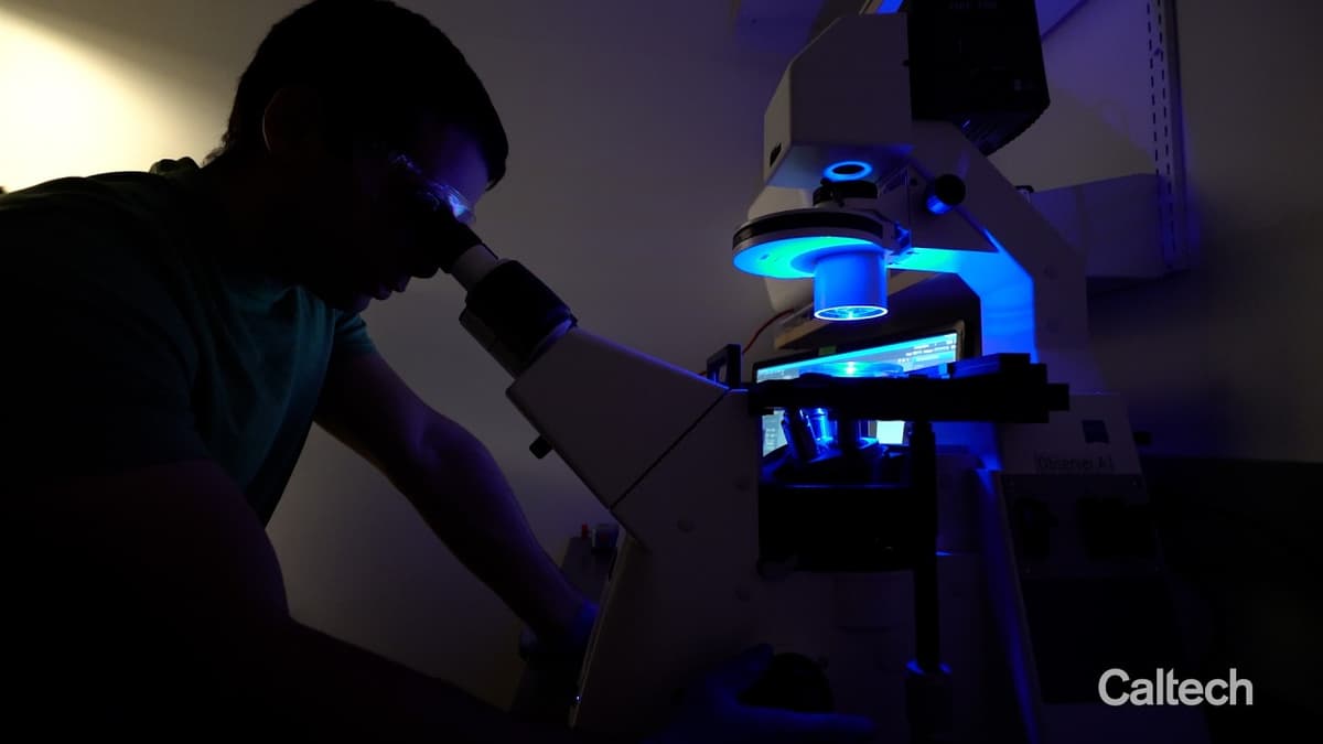 New DAbI Method Means Fast Autofocus for Microscopes