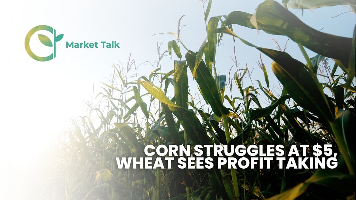 Corn Struggles at $5, Wheat Sees Profit Taking