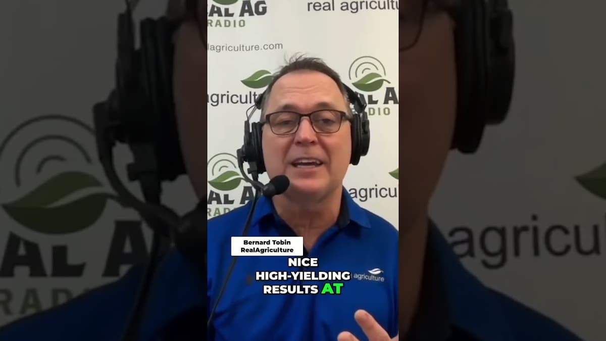 Double Crop Soybeans: Ontario's Breakthrough Yield Strategy #shorts