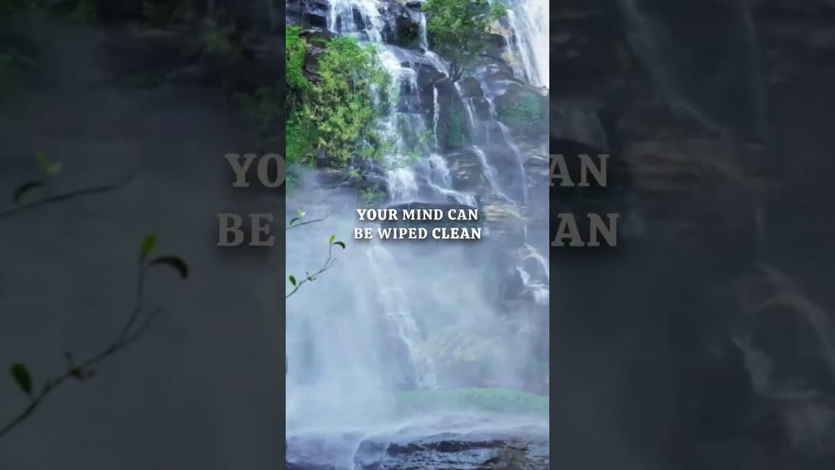 Authentic Alan Watts - Full Talk Now Streaming ‘Being in the Way 2’