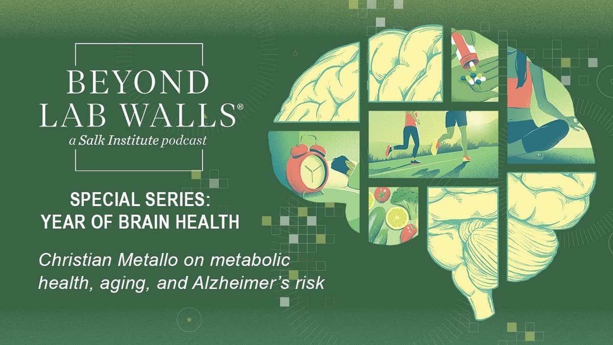 Salk’s Year of Brain Health: Christian Metallo on Metabolic Health, Aging, and Alzheimer’s Risk
