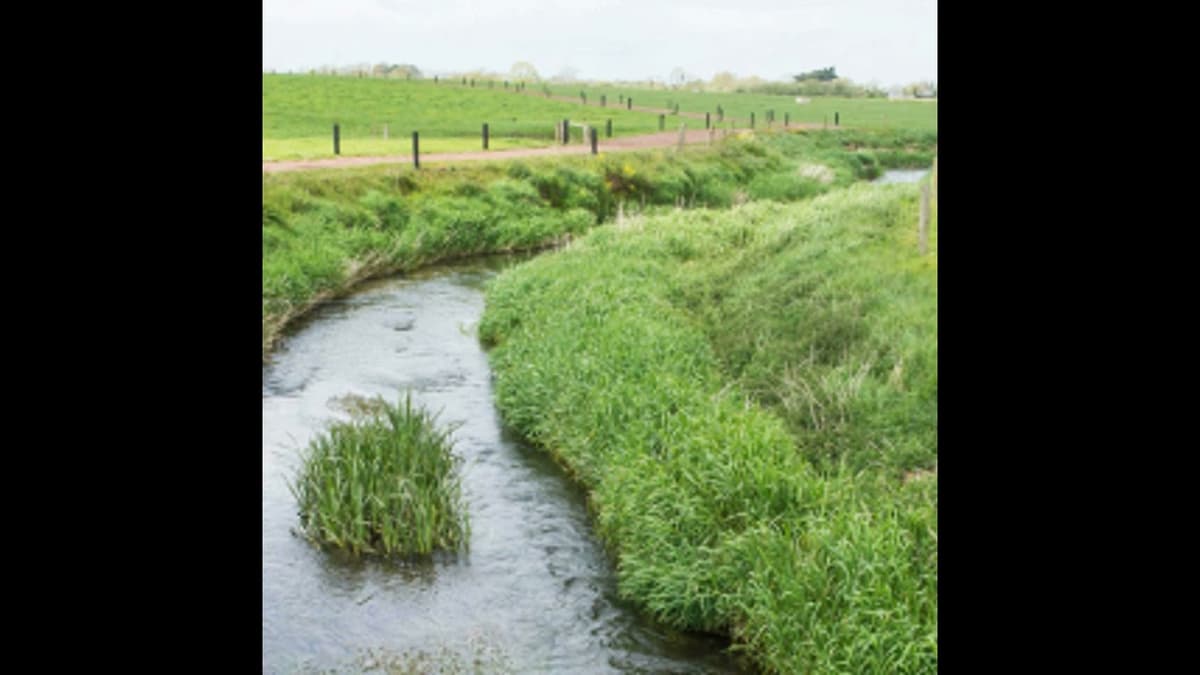 Claire Mooney on Water Quality Tips