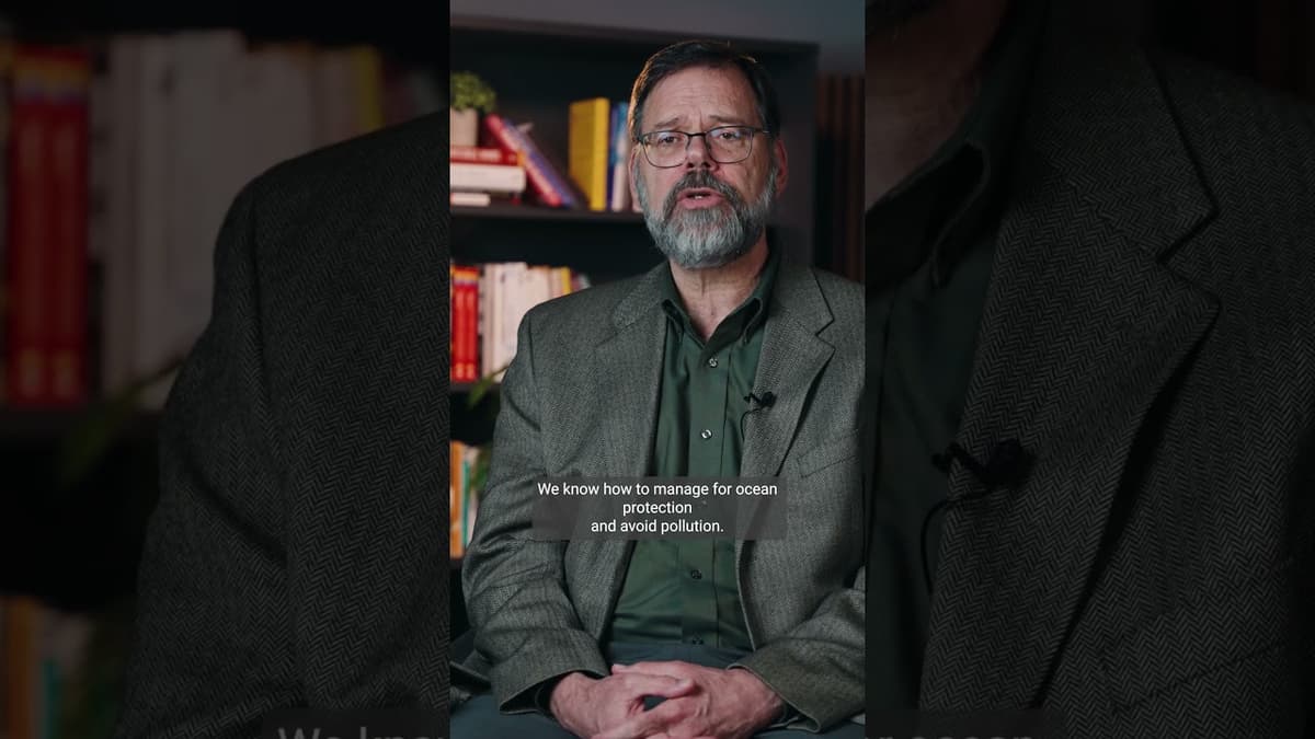 To Future-Proof the Planet, We Need Stronger Policies #Economy #Sustainability #LSE