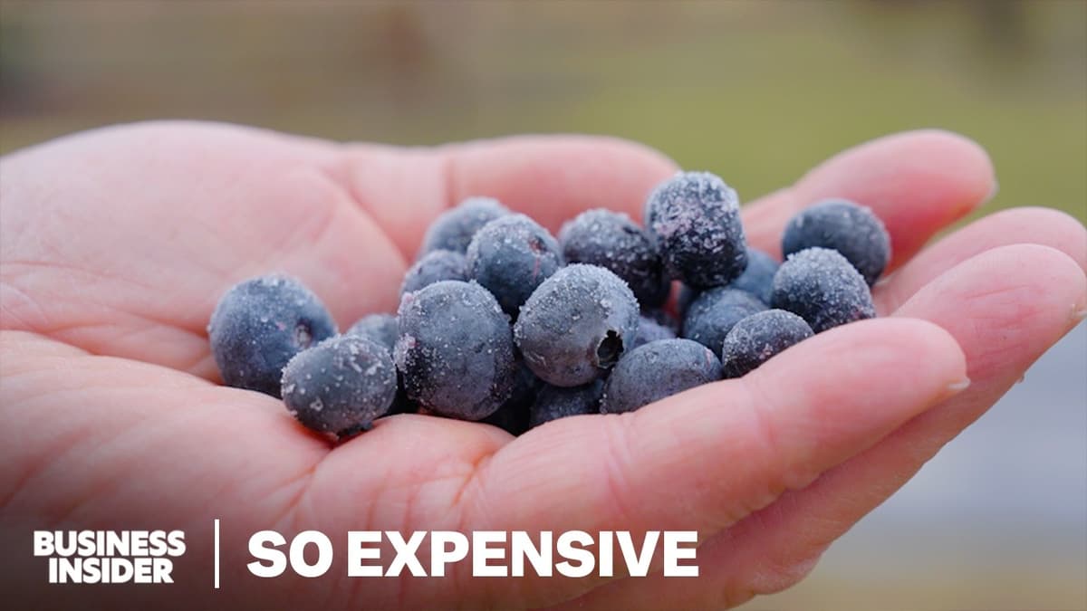 Should Organic Food Be So Expensive?
