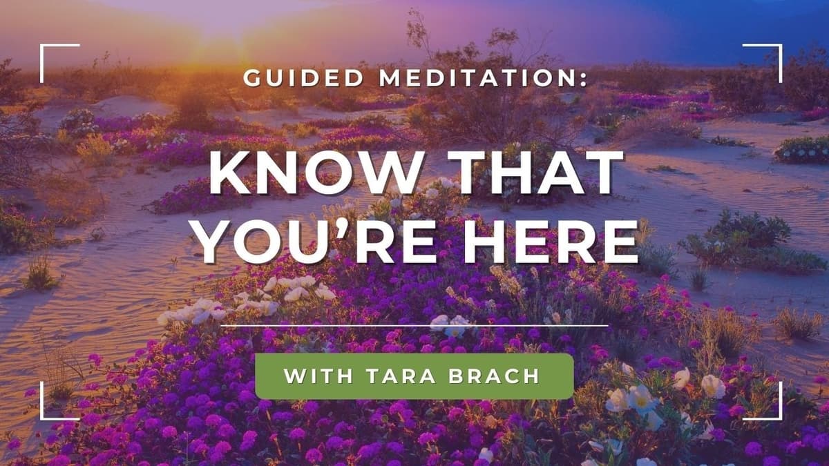 Guided Meditation: Know That You're Here | Tara Brach