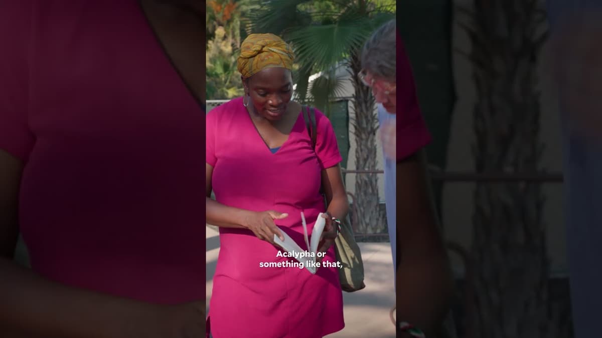 Have You Seen This Plant Before?