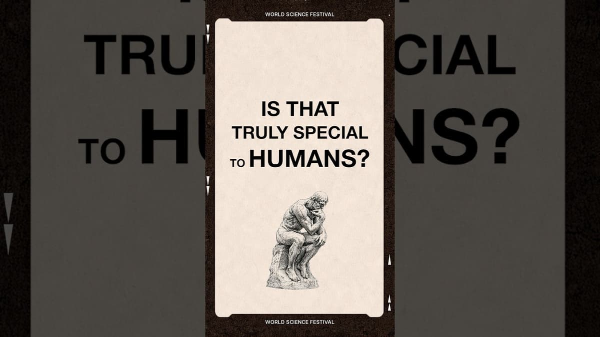 Can AI Match Human Creativity?