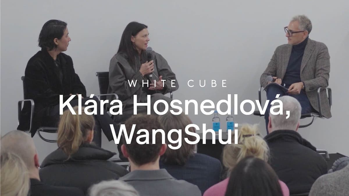 Conversations: Klára Hosnedlová and WangShui with Sam Bardaouil | White Cube