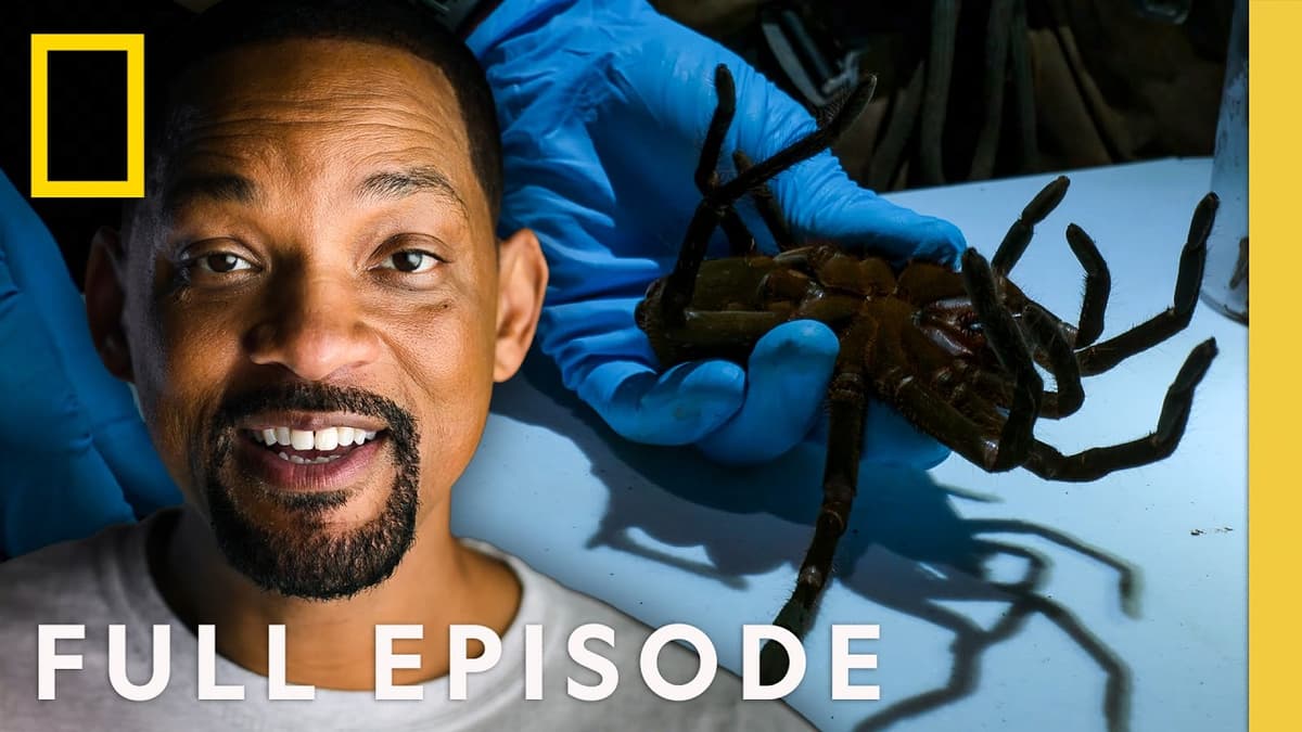 Encountering Deadly Spiders in The Amazon (Full Episode) | Pole to Pole with Will Smith | Nat Geo