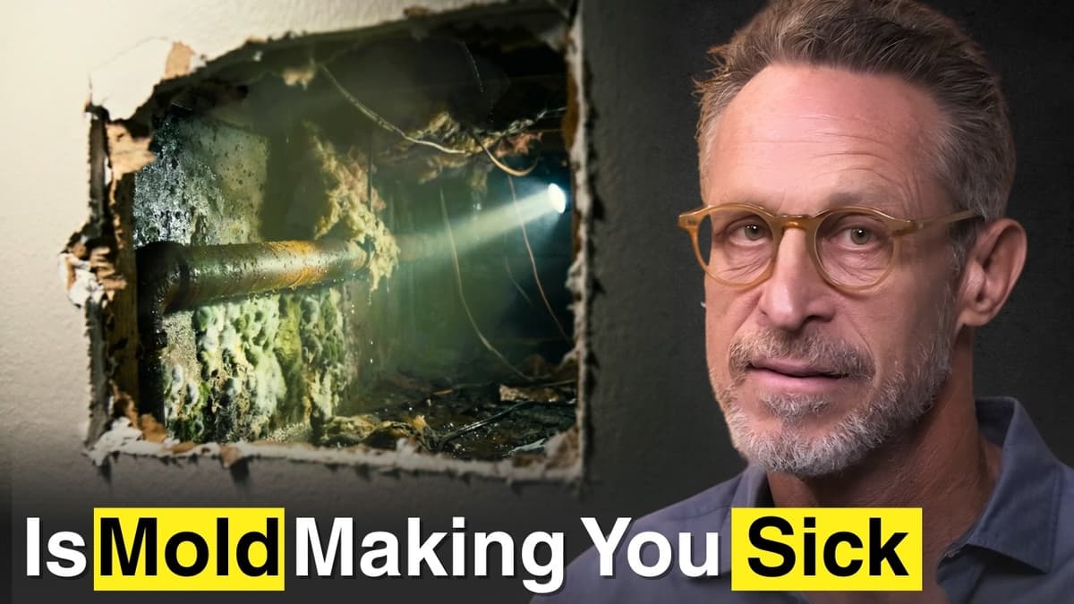 Brain Fog, Fatigue, and Anxiety: Could It Be Mold?