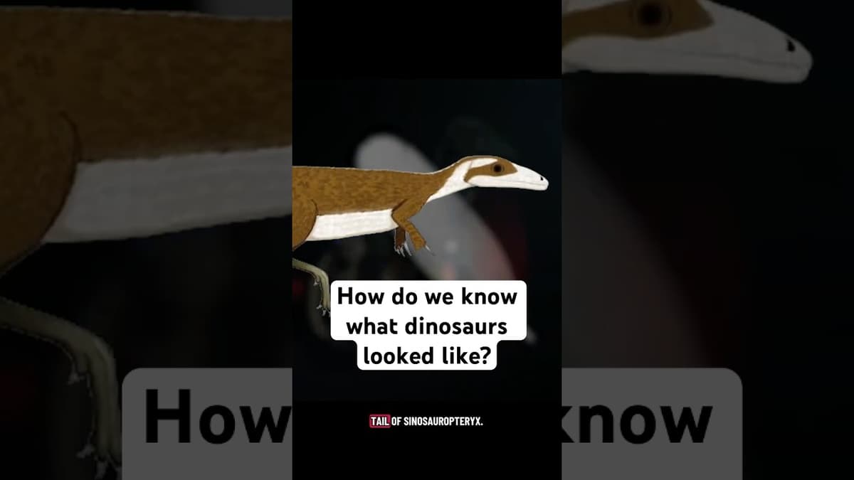 How Do We Know What Dinosaurs Looked Like? #dinosaur #fossil #paleontology #how
