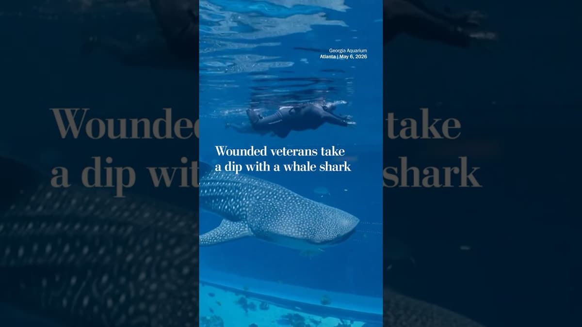 Injured U.S. Military Veterans Swim with a Whale Shark at the Georgia Aquarium
