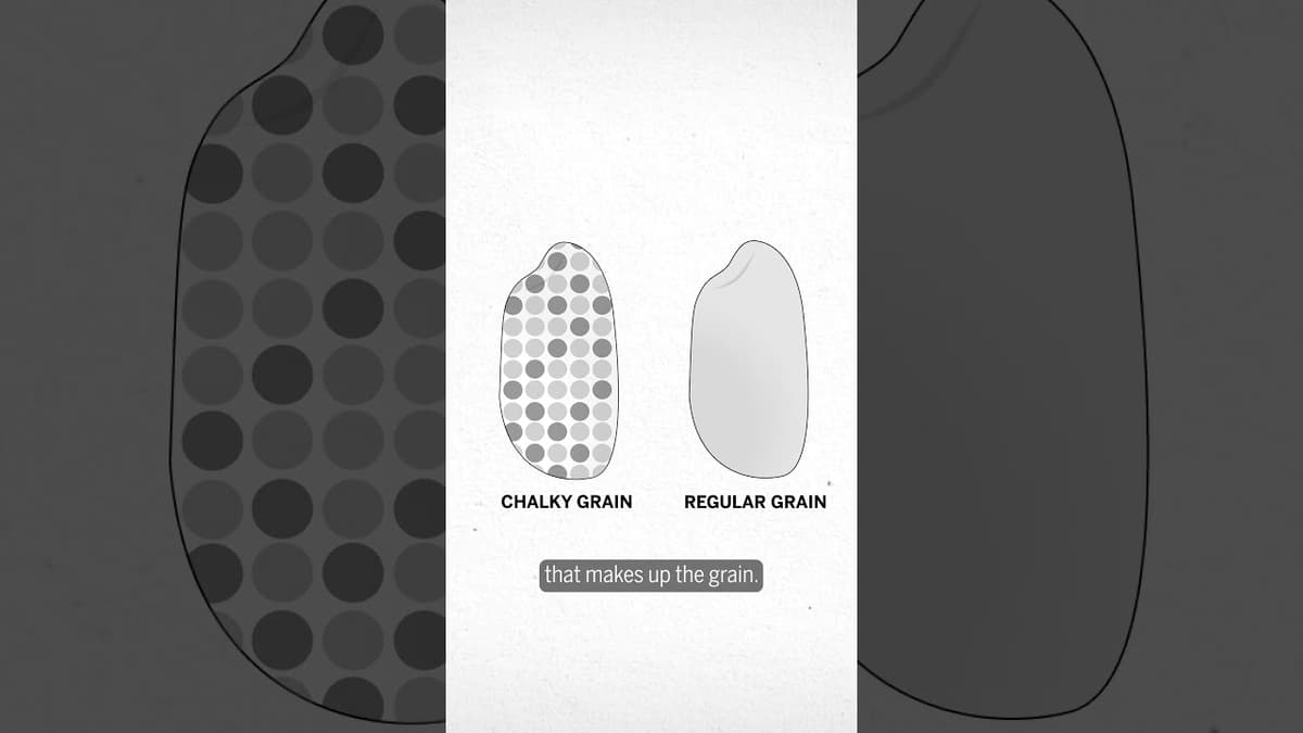 Rice that Beats the Heat