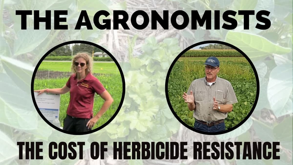 The Agronomists, Ep 237: The Cost of Herbicide Resistance