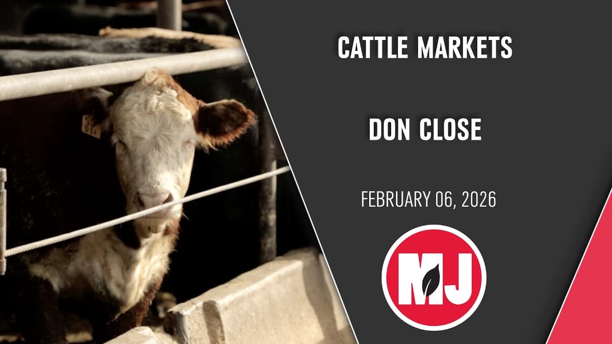 Cattle Markets | Don Close | February 06, 2026