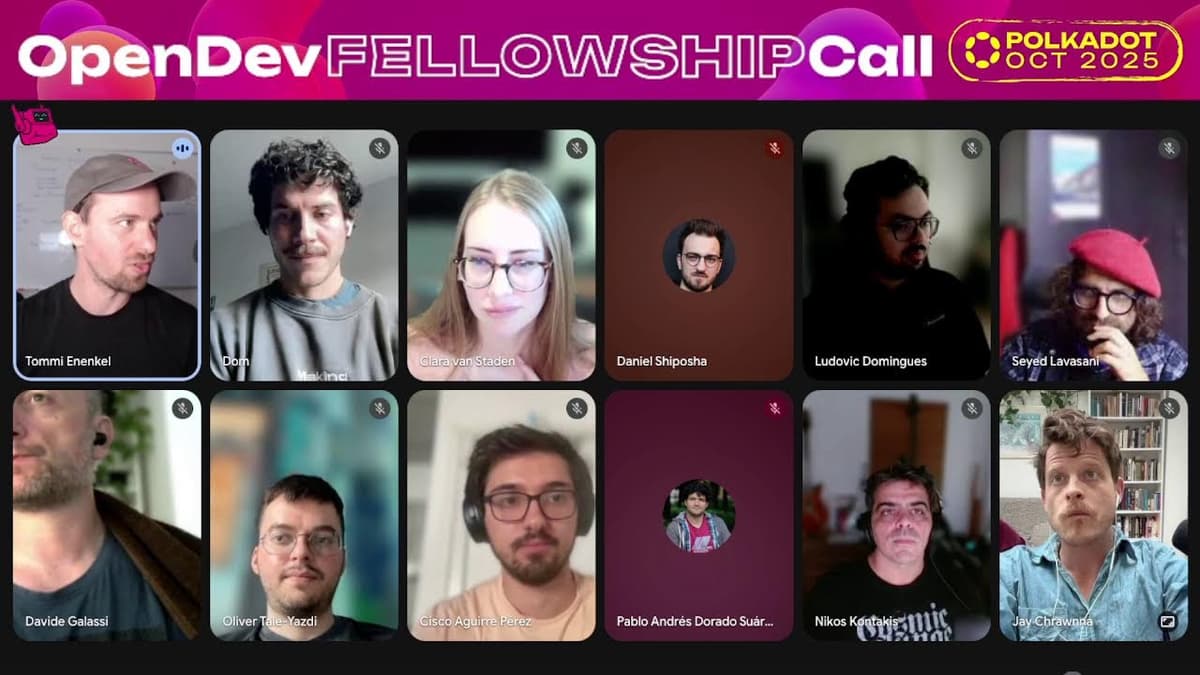 OpenDev Core Polkadot Call - October 2025