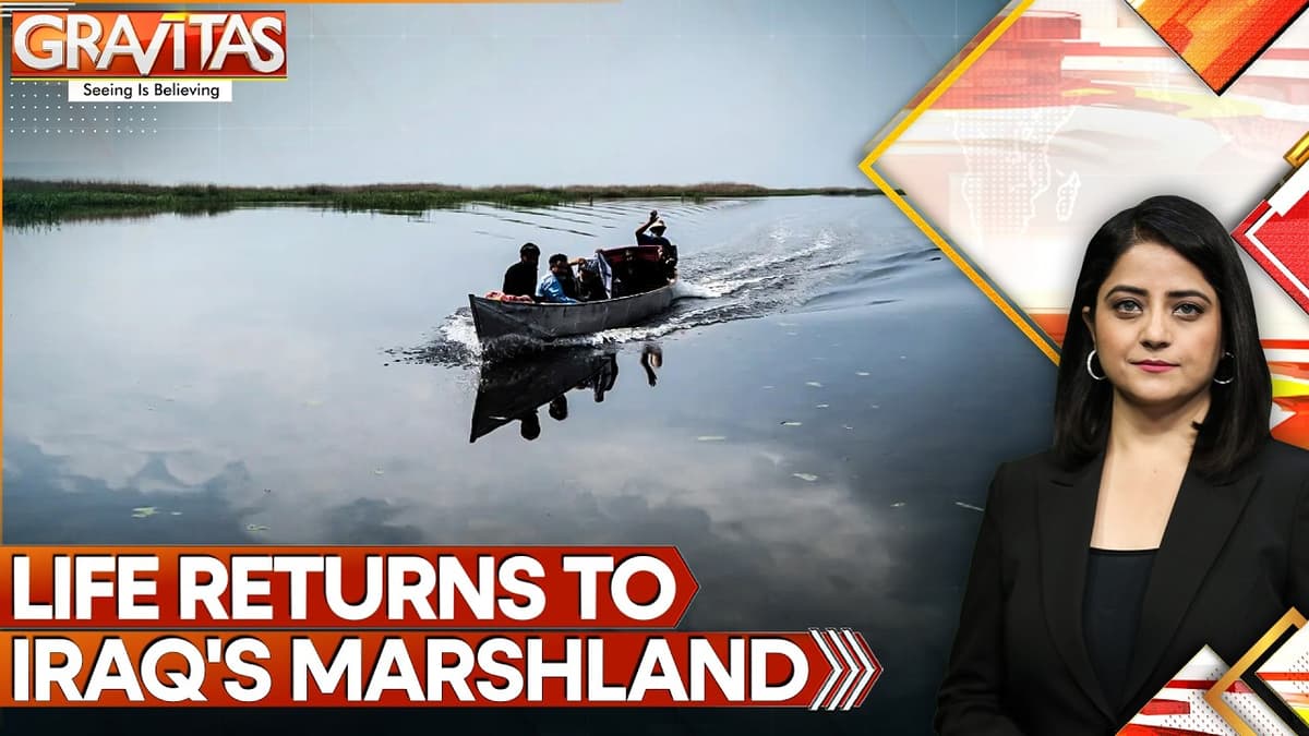 Iraq’s Ancient Marshes Come Back To Life After Rains | GRAVITAS