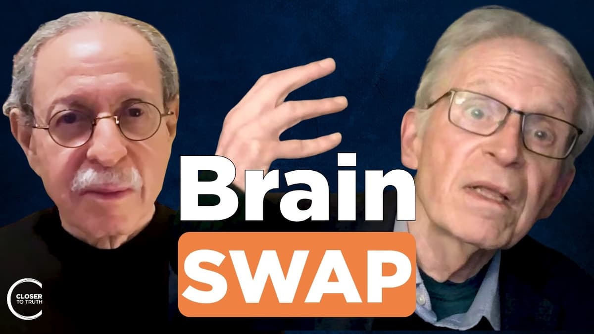 What If Your Visual Cortex Were Replaced? | Arnold Zuboff