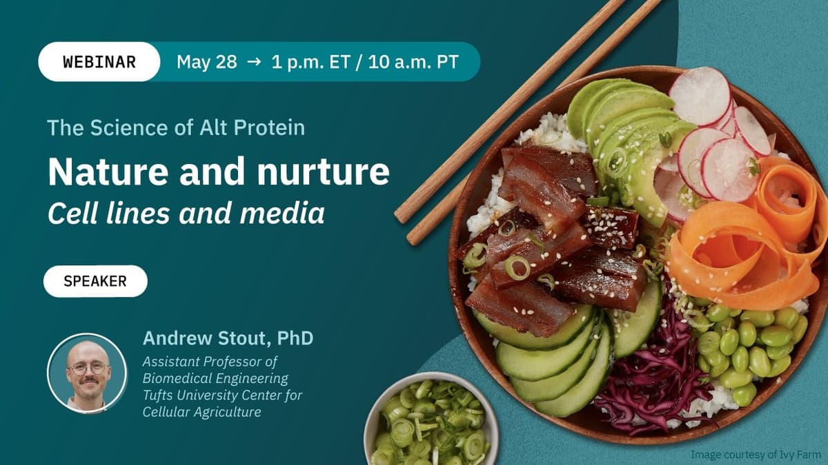 Dr. Andrew Stout: Nature and Nurture—Cell Lines and Media