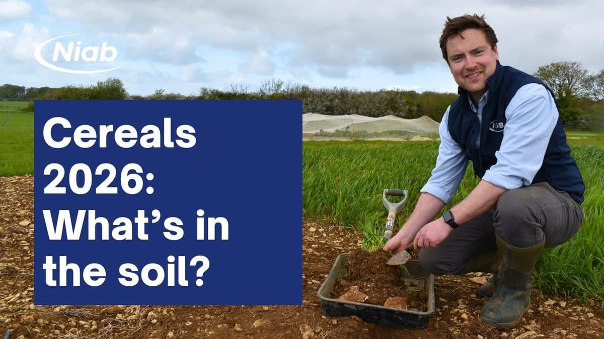 Cereals 2026: What to Expect From the Soil Hole