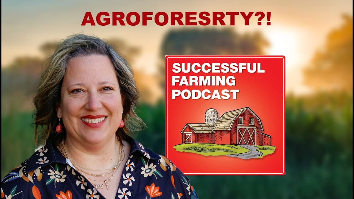Transforming Communities with Trees: The Trees That Feed Foundation Story