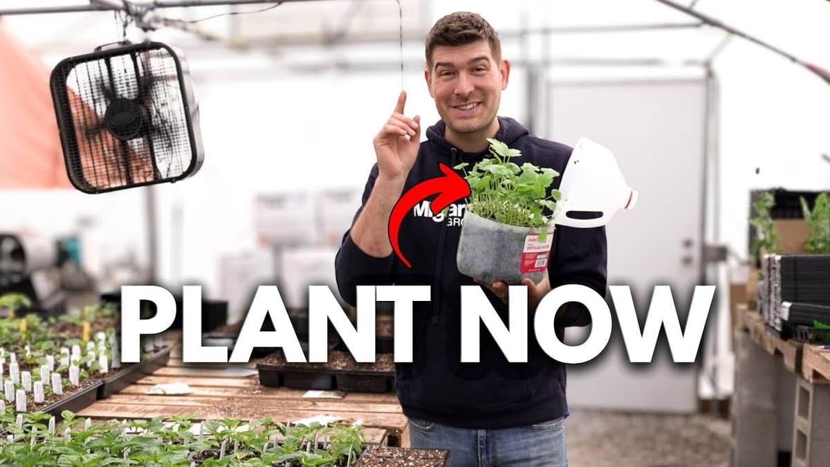 Start These Long Season Crops NOW Before It’s Too Late!