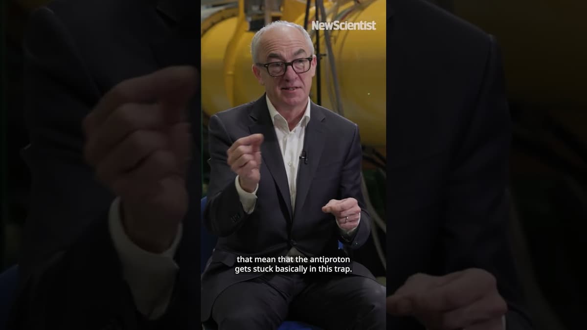 Welcome to the Animatter Factory 🏭