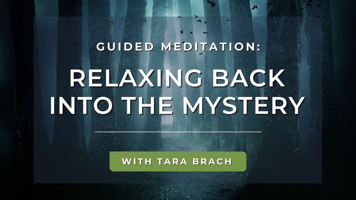 Guided Meditation: Relaxing Back Into the Mystery | Tara Brach