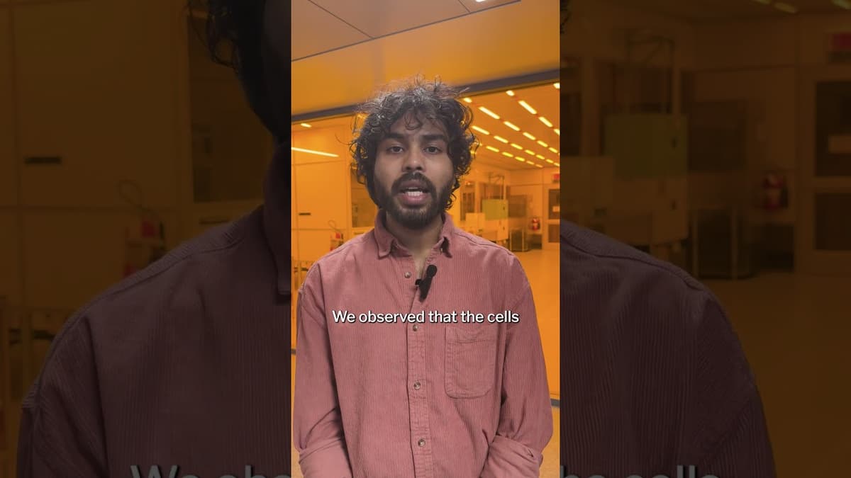 Using Brain Cells to Do Computation