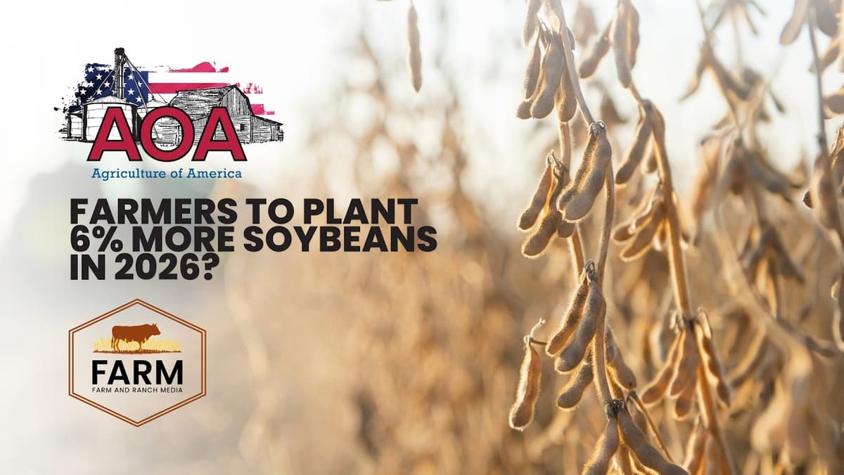 Farmers to Plant 6% MORE Soybeans in 2026?